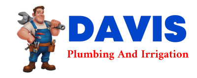 Trusted plumber in DUPREE